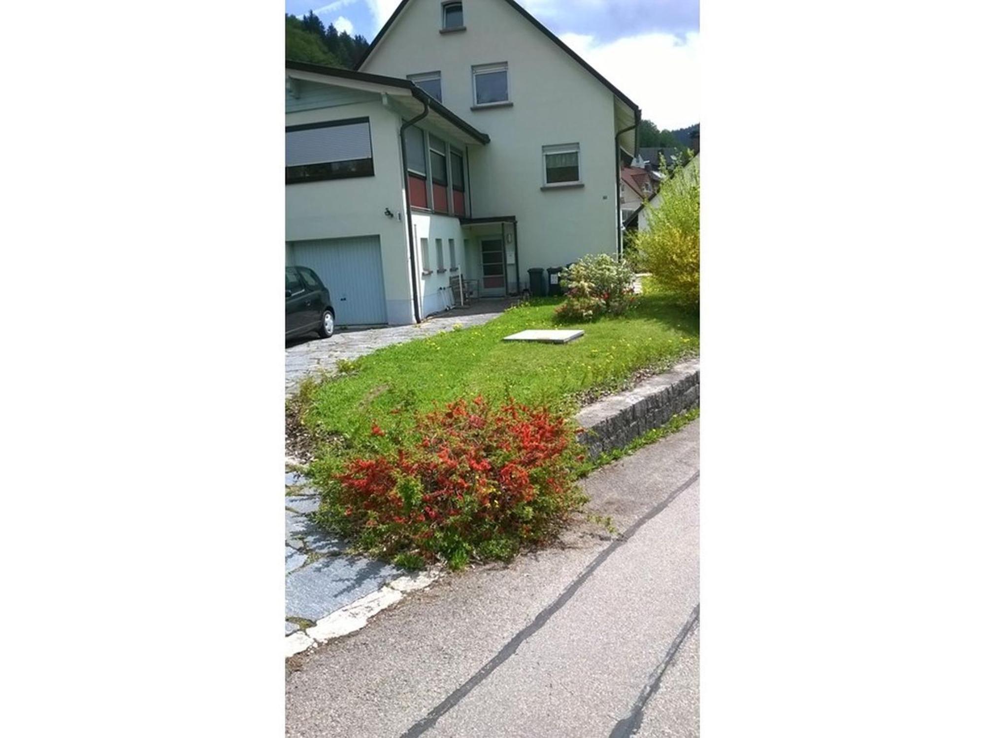 Haus Marion Apartment Todtnau Exterior photo